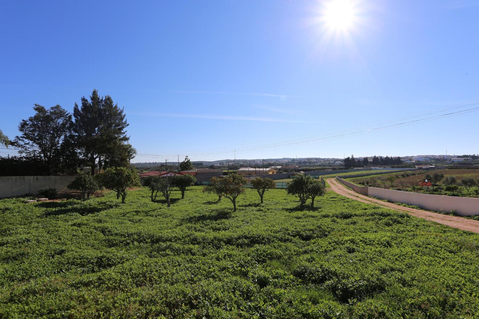 Apartmán Quinta Da Ponte Odiáxere Exteriér fotografie